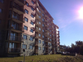 Отель Apartment Villarrica Holidays  Вильяррика